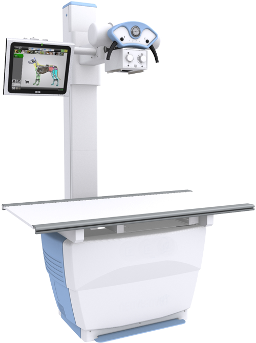 Variable height xray system